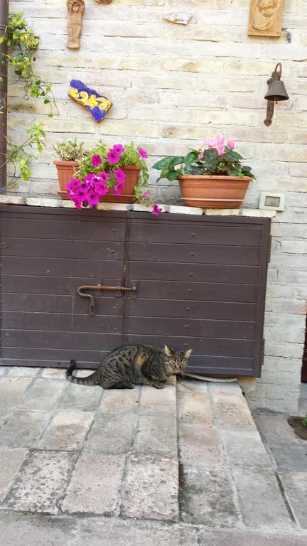 B&B La Casuccia Di אסיסי מראה חיצוני תמונה