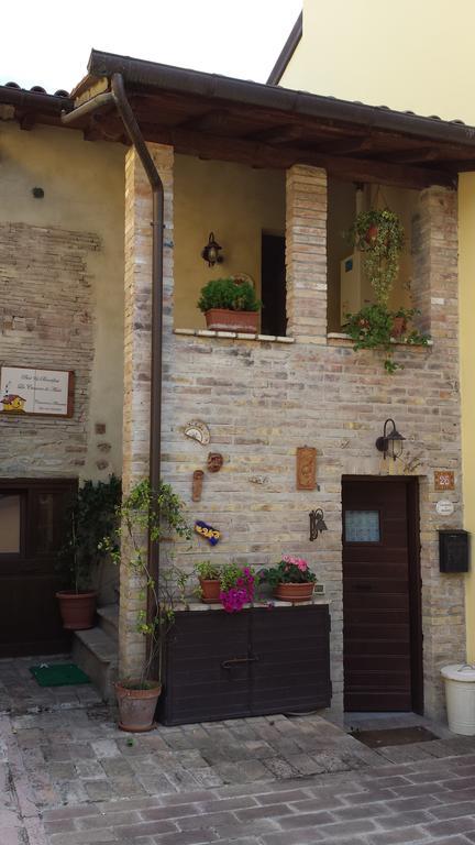 B&B La Casuccia Di אסיסי מראה חיצוני תמונה